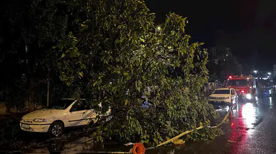 Kayseri'de şiddetli rüzgar; ağaçlar devrildi, çatılar uçtu