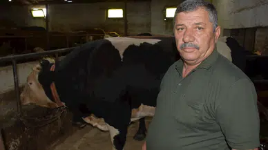 Babasının yanında yarım asır önce başladığı besiciliği çocuklarıyla sürdürüyor