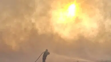 Mardin'de 3 mahallede 10 bin dönüm ekili arazi yandı