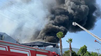 SAMSUN'da elyaf fabrikasında yangın; yandaki işletmeye de sıçradı (2) (VİDEO EKLENDİ)