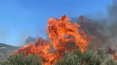  Tekirdağ'da ormanlara girişler 15 Ekim'e kadar yasaklandı