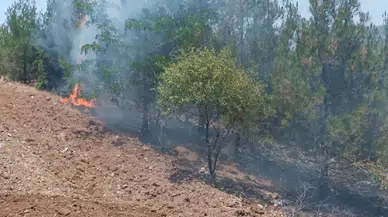 Kilis’te orman yangını söndürüldü