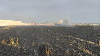 Edirne’de 2 tarlada çıkan yangında 16 dönüm buğday ekili alan zarar gördü