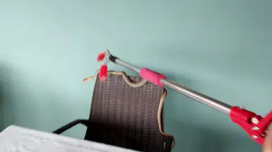 Engelsiz yaşam merkezine giren yılan endişe yarattı 