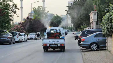 Küçükçekmece’de sivrisineklere karşı ilaçlama çalışmaları hızlandırıldı