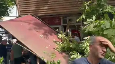 Lodos nedeniyle ikiye bölünen çınar ağacı, tarihi Cafer Paşa Hanı'nın üzerine devrildi