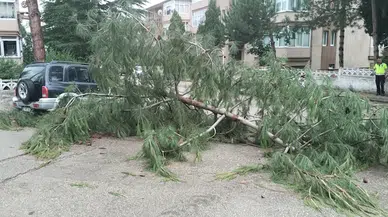Karabük'te kuvvetli rüzgar hayatı olumsuz etkiledi