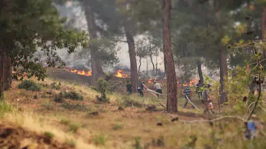 Denizli'de orman yangını /Ek Fotoğraflar