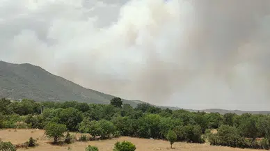 Denizli'de orman yangını
