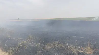 Edirne’de 350 dönüm buğday ekili alan yandı 