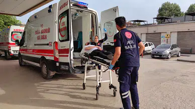 Arıların sokmasıyla solunumu durdu, başka ihbara giden sağlık ekiplerinin müdahalesiyle hayata döndü