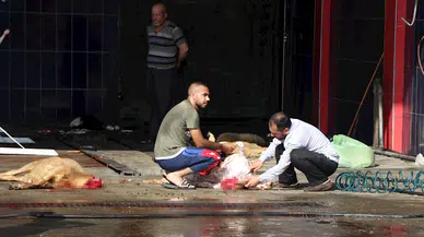 'Sokakta kesilen kurbanlığın etinde strese bağlı bozulma olabilir'
