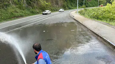 Trabzon'un ilçelerinde temizlik yapıldı