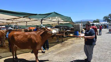 İzmir'de kurban pazarlarında hareketlilik