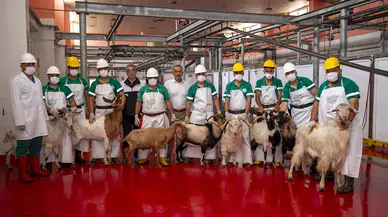  Mersin Büyükşehir, şehitlerin anısına kurban kesti