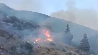 Gaziantep’te meşelik alanda yangın