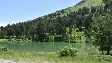 Torul'daki Altınpınar Limni Gölü'nde güzel görüntüler oluştu