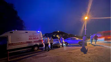 Ordu'da otomobil ile hafif ticari aracın çarpıştığı kazada 4 kişi yaralandı
