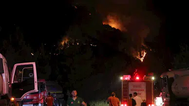 Denizli'de orman yangını (3)