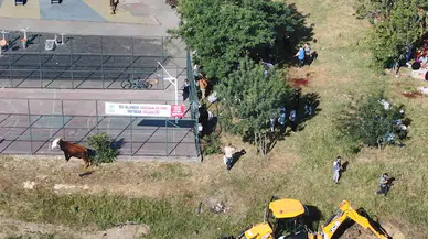 İstanbul - 'Yasak' tabelalarının altında kaçak kurban kestiler