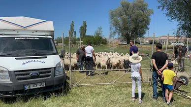 Kurbanlıkların satışından elde ettiği 535 bin TL  çalındı