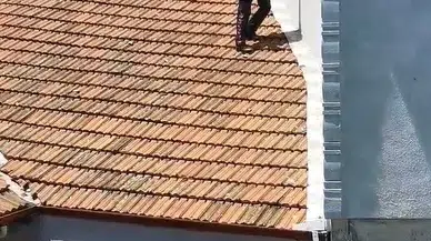 Çatıdan sarkan ipe dolanan kargayı, polis kurtardı; o anlar kamerada