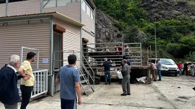 Artvin Belediyesi'nden Modern ve Hijyenik Kurban Kesim Hizmeti