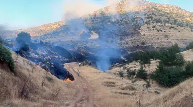 Derik'te 3 ayrı noktada yangın çıktı; 7 hektar orman ve 250 dönüm ekili tarla yandı