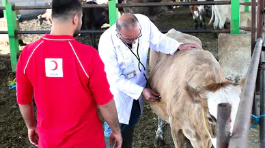 Türk Kızılay yurt içinde ve 19 ülkede kurban kesimlerine başladı