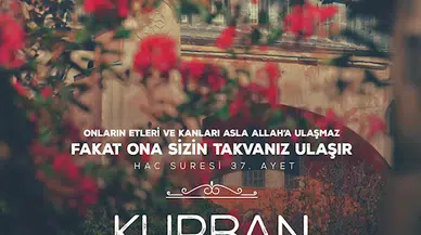 Cumhurbaşkanı Erdoğan: Milletimizin Kurban Bayramı'nı tebrik ediyorum