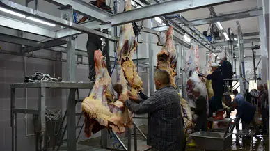 Başçiftlik Belediye Mezbahanesinde kurban kesim hizmeti veriliyor