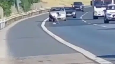 İstanbul - Beykoz'da metrelerce koştu; araçları durdurarak yoldaki kaplumbağayı ezilmekten kurtardı