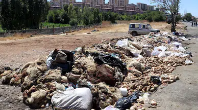 Gaziantep’te, yol kenarlarına atılan yüzlerce kurban derisi ve atık tepki topladı