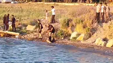 İznik'te ailesiyle piknik yaparken gölette boğuldu