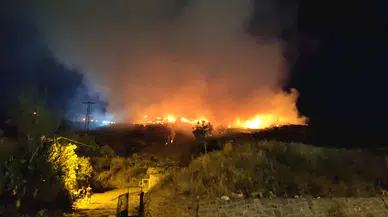 İstanbul-Sarıyer'de otluk alanda yangın-1 