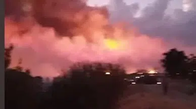 Uşak'ta orman yangını