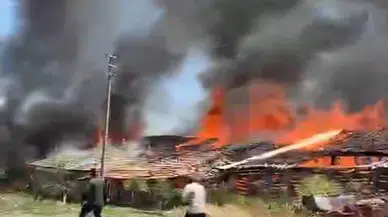 Ankara'da ahır yangını; 12 büyükbaş öldü
