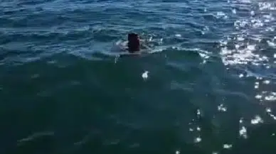 Dünya şampiyonasına hazırlanan milli güreşçi Sapanca Gölü'nü yüzerek geçti