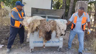 İslahiye’de 245 ton kurban atığı toplandı