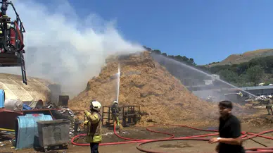 İstanbul- Eyüpsultan'da kurban kesim alanındaki samanlar yandı