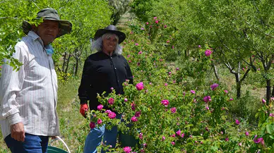 Eşiyle birlikte taşlık alanı bahçeye çevirdi