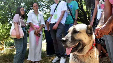İklim değişikliğinden etkilenen Kangalları görmek için Yunanistan ve Macaristan’dan geldiler