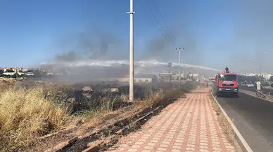 Diyarbakır’da 1,5 ayda, 5 bin 146 dönüm ekili buğday ve arpa yandı