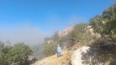 Mardin'deki örtü yangını 7 saatte söndürüldü