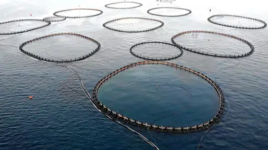 Kültür balıkçılığında üretim rekoru