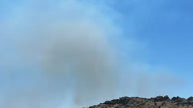 Bodrum'da ot yangını