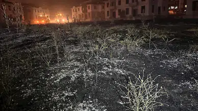 İzmir'de otluk alanda çıkan yangında alevler 2 metruk villaya sıçradı