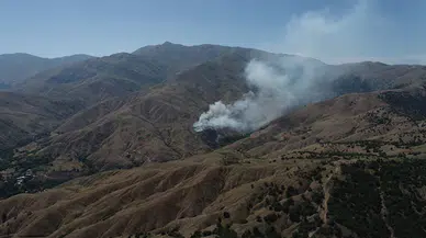 Bingöl'de çıkan örtü yangını söndürüldü