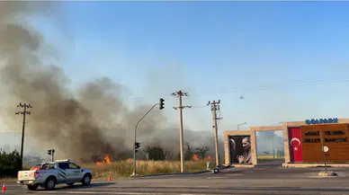 İzmir'de zeytinlik yangını