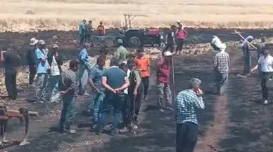 Diyarbakır'ın 2 ilçesinde 200 dönüm ekili buğday ve üzüm bağı yandı